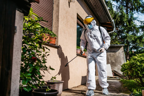 Best Local Pest Control Services  in Leonia, NJ