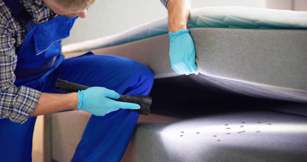 Best Wasp Removal Services  in Leonia, NJ