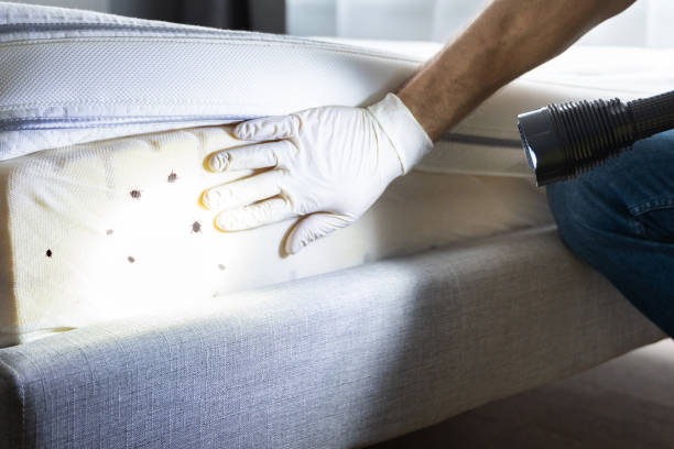 Professional Pest Control in Leonia, NJ