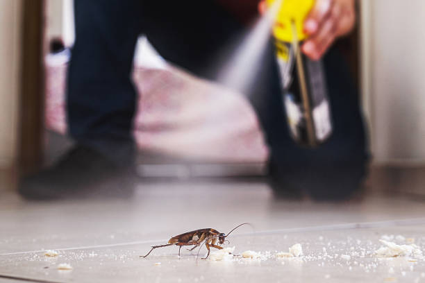 Best Best Pest Control Companies  in Leonia, NJ
