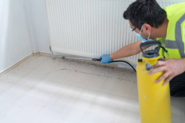 Best Pest Inspection Near Me  in Leonia, NJ