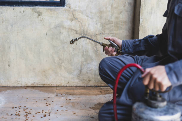 Best Rat Extermination Near Me  in Leonia, NJ